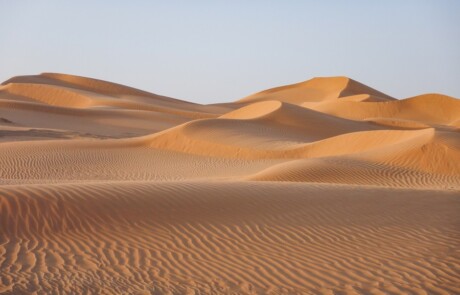 Luftfeuchtigkeit: Zwischen Wüste und Tropen